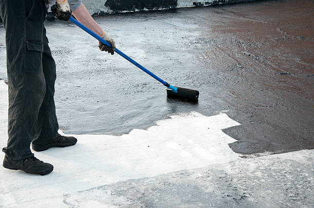 Best Concrete Leveling Services  in Seis Lagos, TX